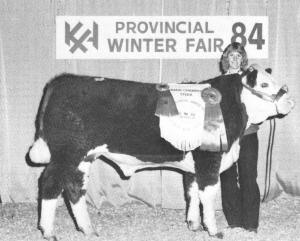Laurie Mikulasik and her steer 'Pooky' win the Grand Champion Steer award at the Provincial Winter Fair in 1984